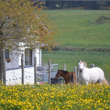 Gites & Tiny Houses Les Hauts De Toulvern บาดอง ภายนอก รูปภาพ