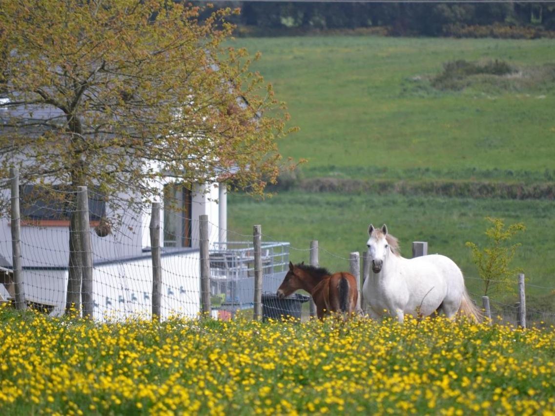 Gites & Tiny Houses Les Hauts De Toulvern บาดอง ภายนอก รูปภาพ