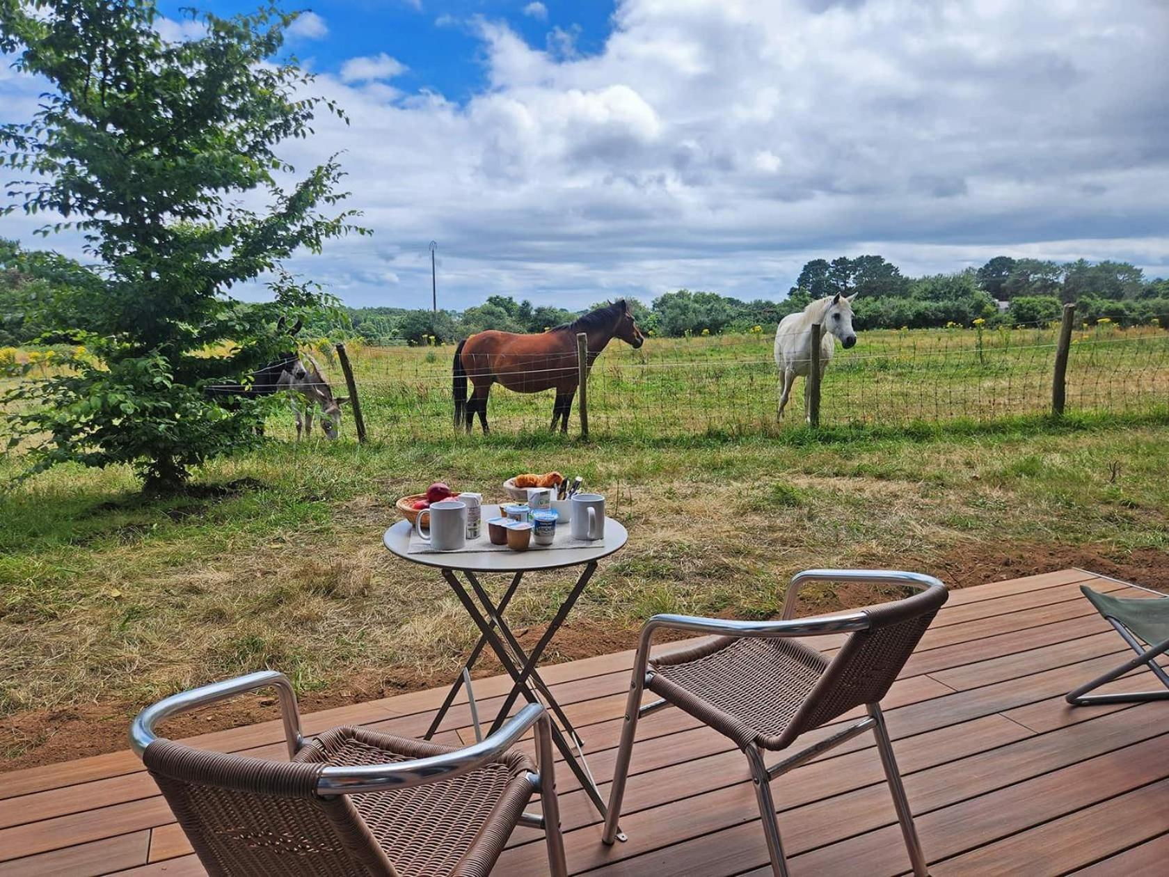 Gites & Tiny Houses Les Hauts De Toulvern บาดอง ห้อง รูปภาพ