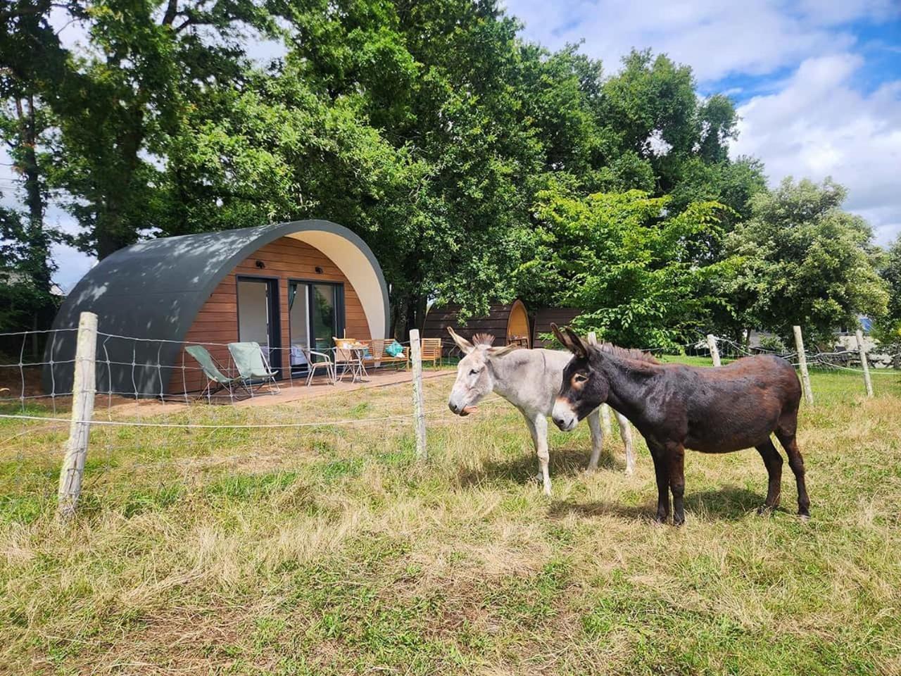 Gites & Tiny Houses Les Hauts De Toulvern บาดอง ห้อง รูปภาพ