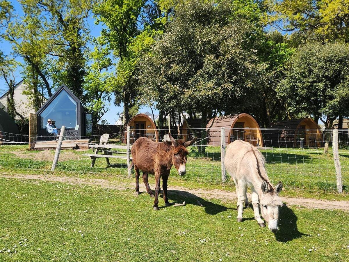 Gites & Tiny Houses Les Hauts De Toulvern บาดอง ห้อง รูปภาพ